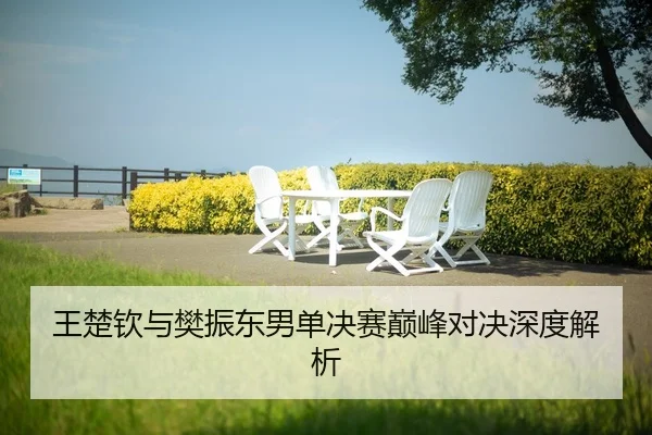 wang-chu-qin-yu-fan-zhen-dong-nan-dan-jue-sai-dian-feng-dui-jue-shen-du-jie-xi-2-909.jpg