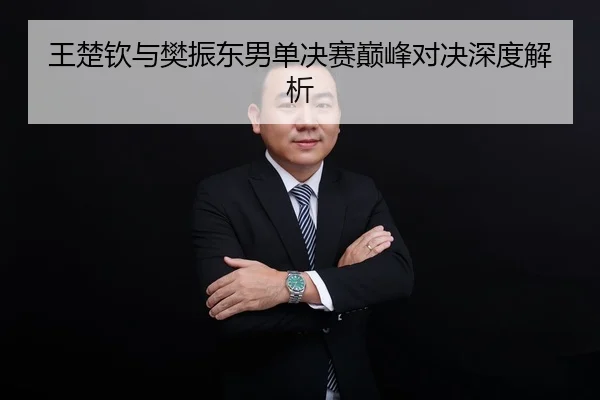 王楚钦与樊振东男单决赛巅峰对决深度解析